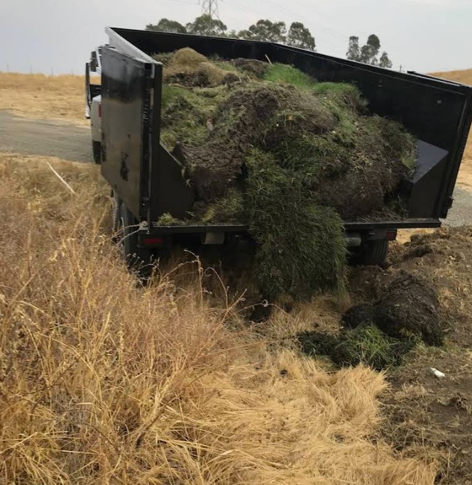 Truck loaded with removed sod and grass